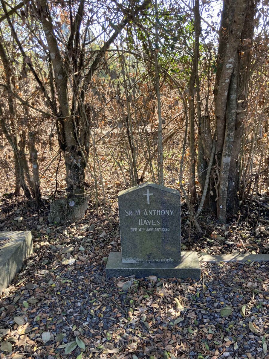 HAYES M. Anthony -1990