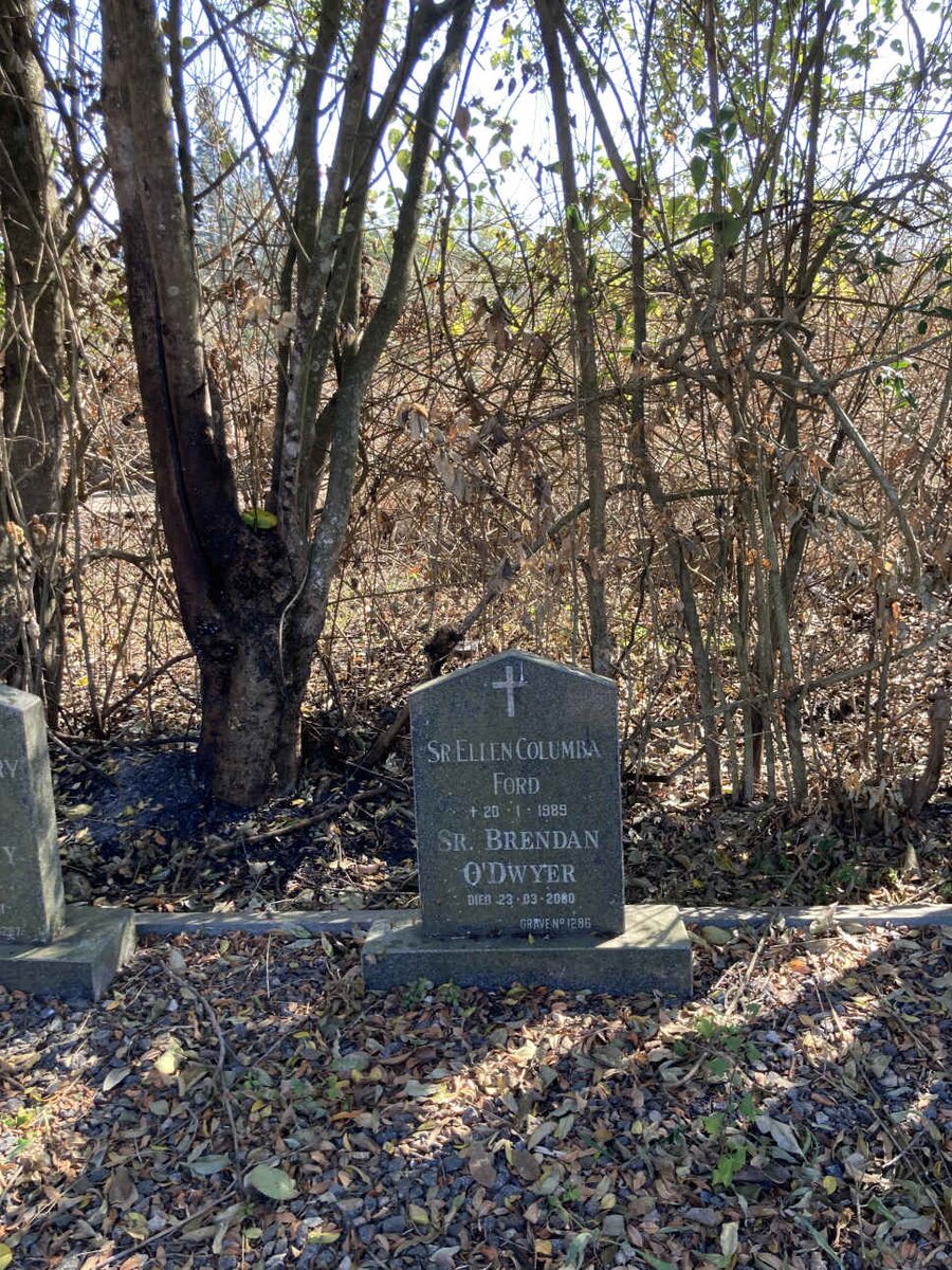 FORD Ellen Columba -1989 :: ODWYER Brendan -2000
