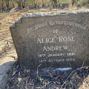 ANDREW Alice Rose 1891-1958