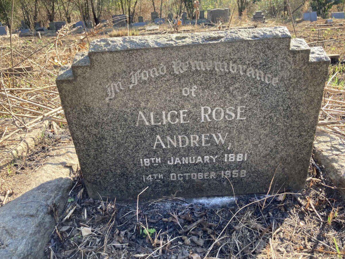 ANDREW Alice Rose 1891-1958