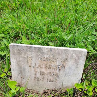 BREET J.J.A. 1863-1942