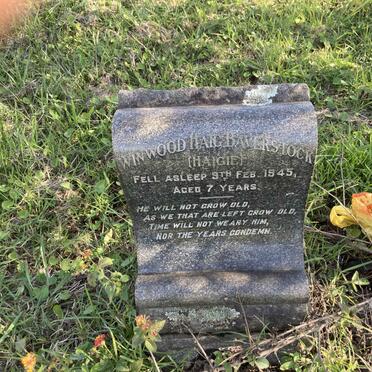 BAVERSTOCK Winwood Haig -1945