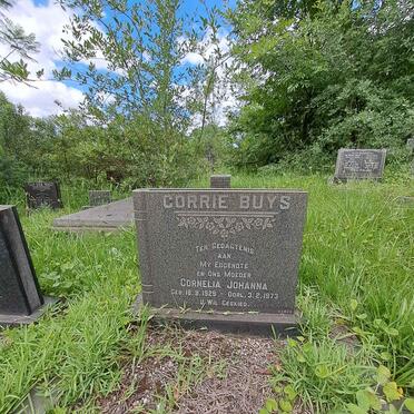 BUYS Cornelia Johanna 1929-1973