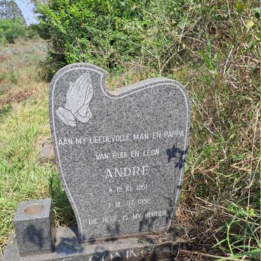 CONING Andre, de 1961-1992