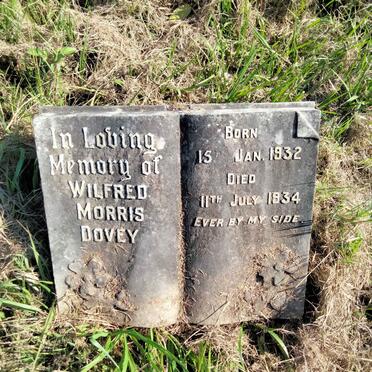 DOVEY Wilfred Morris 1932-1934