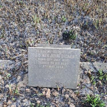 DICKENS Courtney John 1879-1944