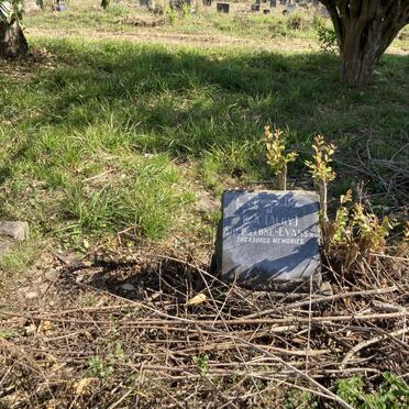 EVANS B.A., SHEPSTONE-