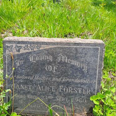 FORSTER Janet Alice -1960