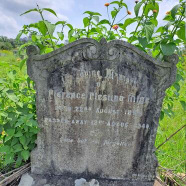 HITGE Florence Plestina 1895-1940