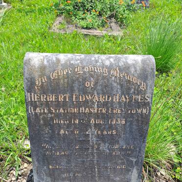 HAYNES Herbert Edward -1936