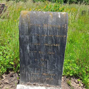 JOHNSON Thomas -1953 & Jeannie -1941