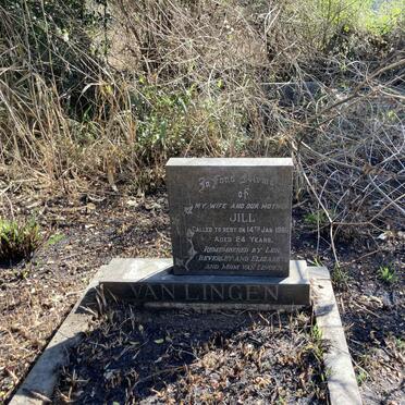 LINGEN Jill, van -1960