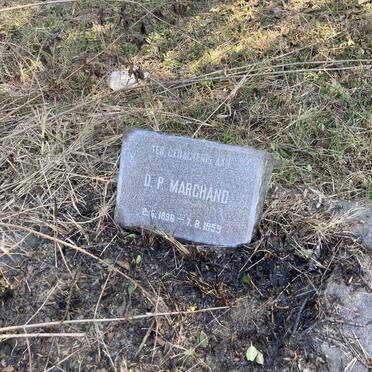 MARCHAND D.P. 1896-1959