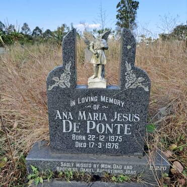 PONTE Ana Maria Jesus, de 1975-1976