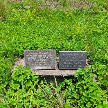 SCHEEPERS Charlotte Lucretia nee BIGGE -1941 :: AMISS Morris 1945-1982