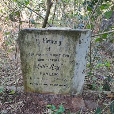 TAYLOR Roy 1962-1990