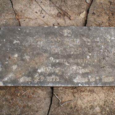 GOLDMAN Harry 1873-1926