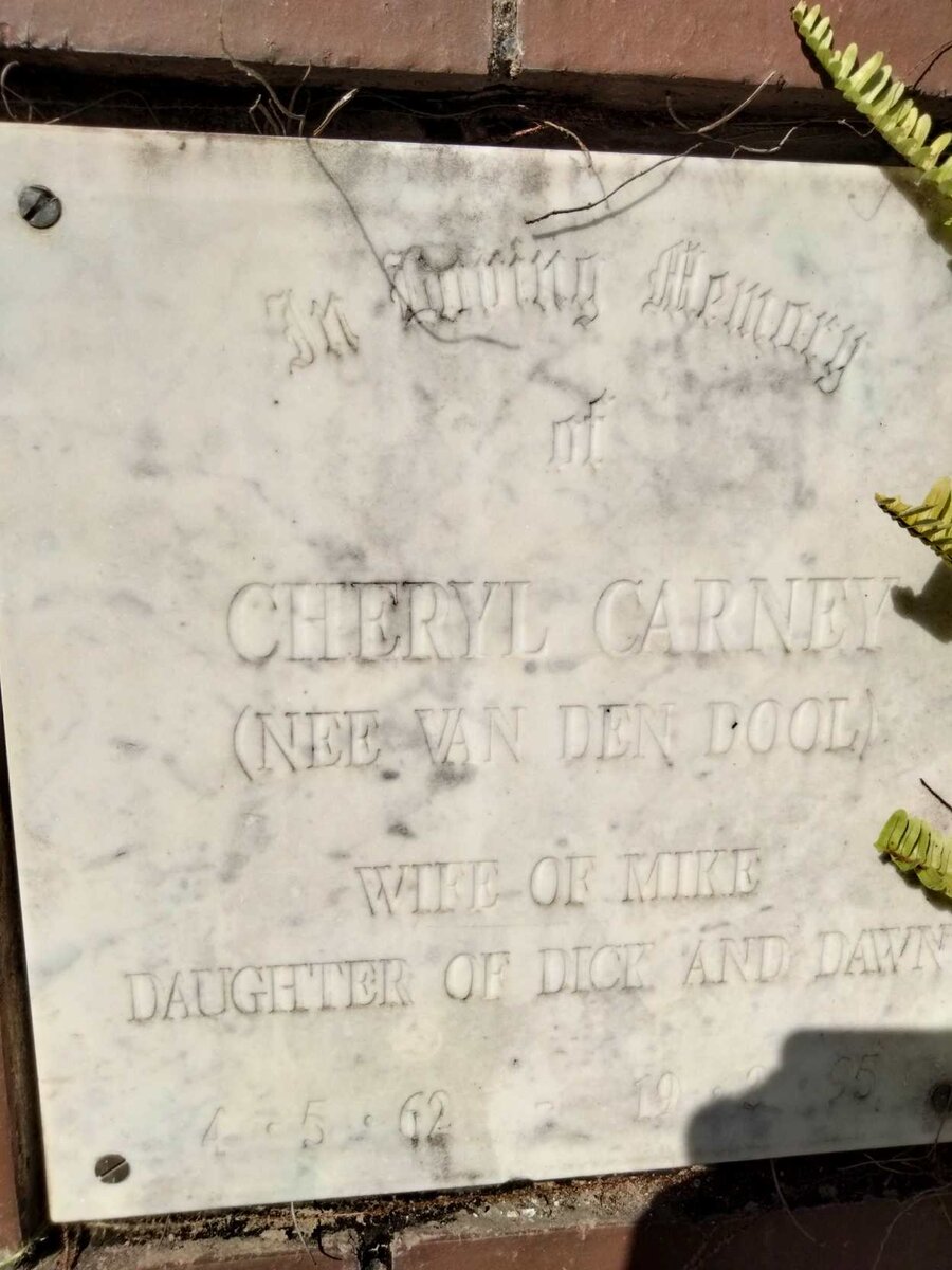 CARNEY Cheryl nee VAN DEN DOOL 1962-1995