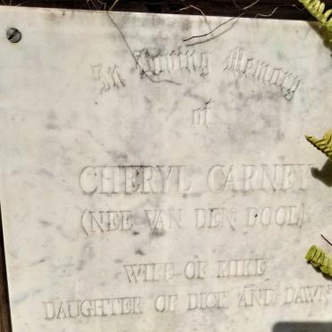 C - Surnames :: Vanne - C