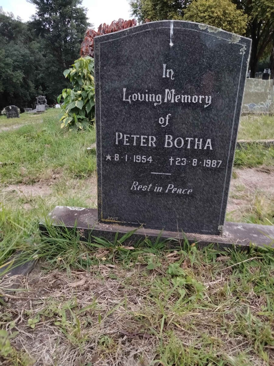 BOTHA Peter 1954-1987
