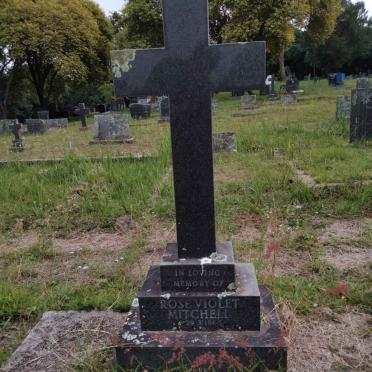 MITCHELL Rose Violet -196?