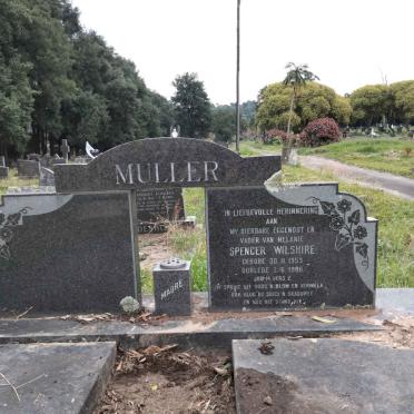 MULLER Spencer Wilshire 1953-1980