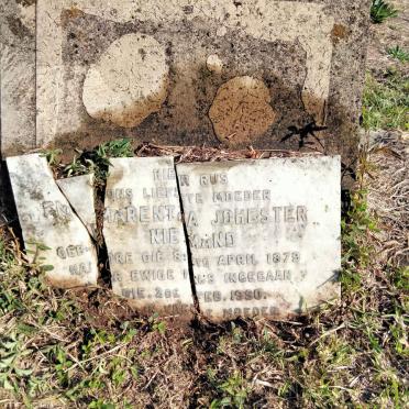 NIEMAND Emmarentia Johensten 1879-1950