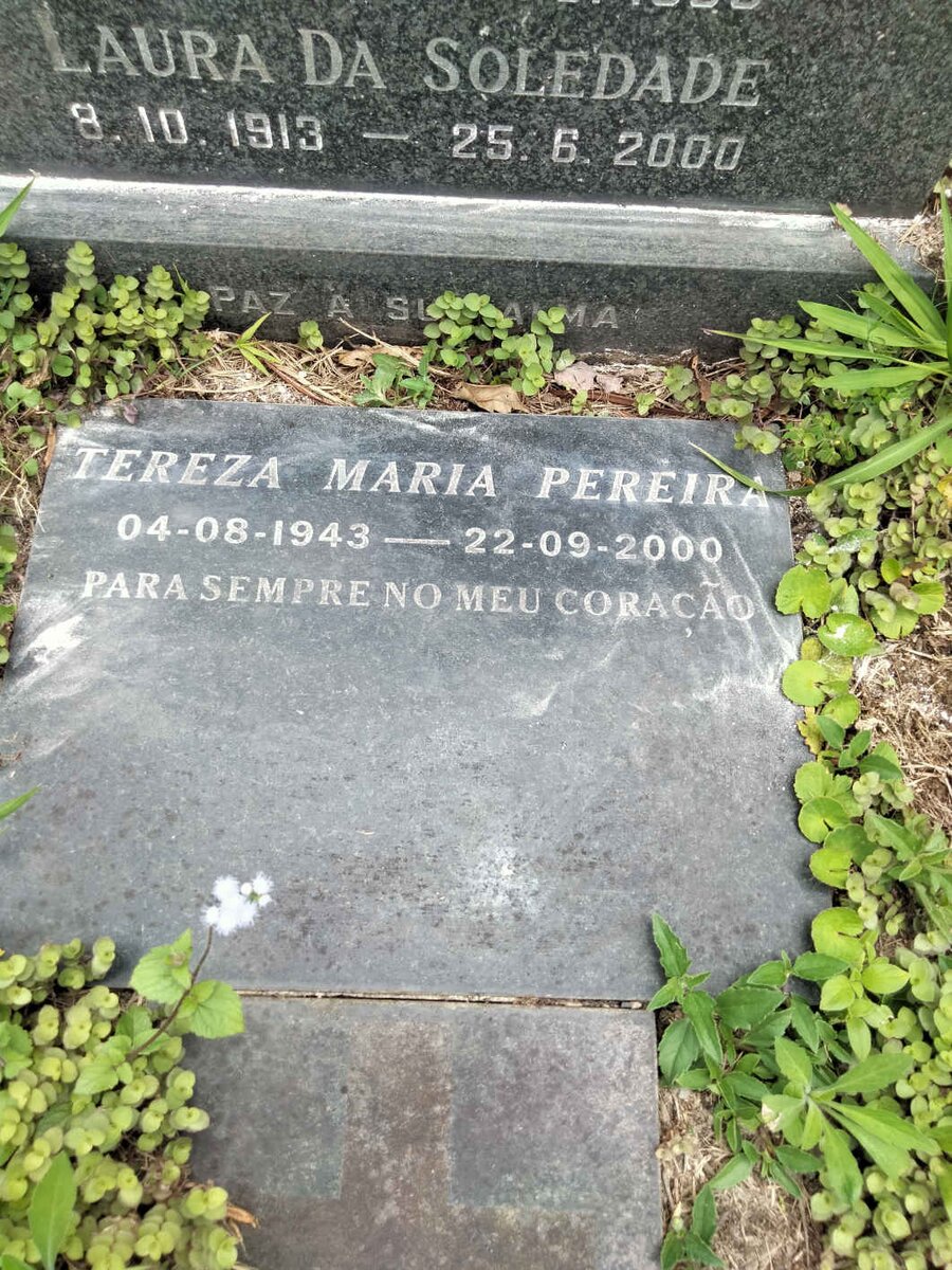 PEREIRA Tereza Maria 1943-2000
