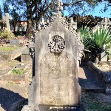 BOHMER H.W. 1862-1915