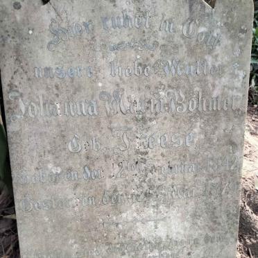 BOHMER Johanna Maria nee FREESE 1842-1879