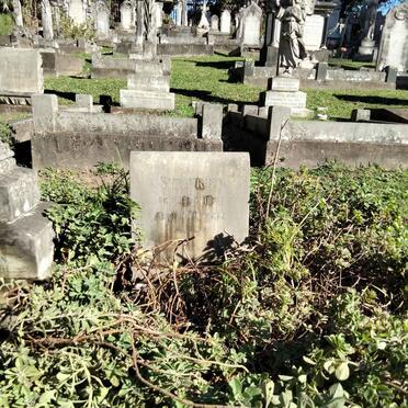 SCHULZE Siegfried 1879-1937