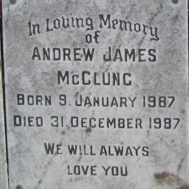 MCCLUNG Andrew James 1987-1987