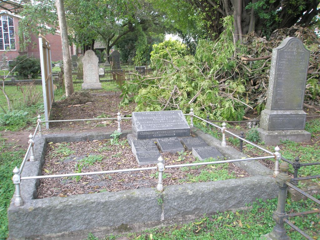 1. Overview on ROYSTON family plot