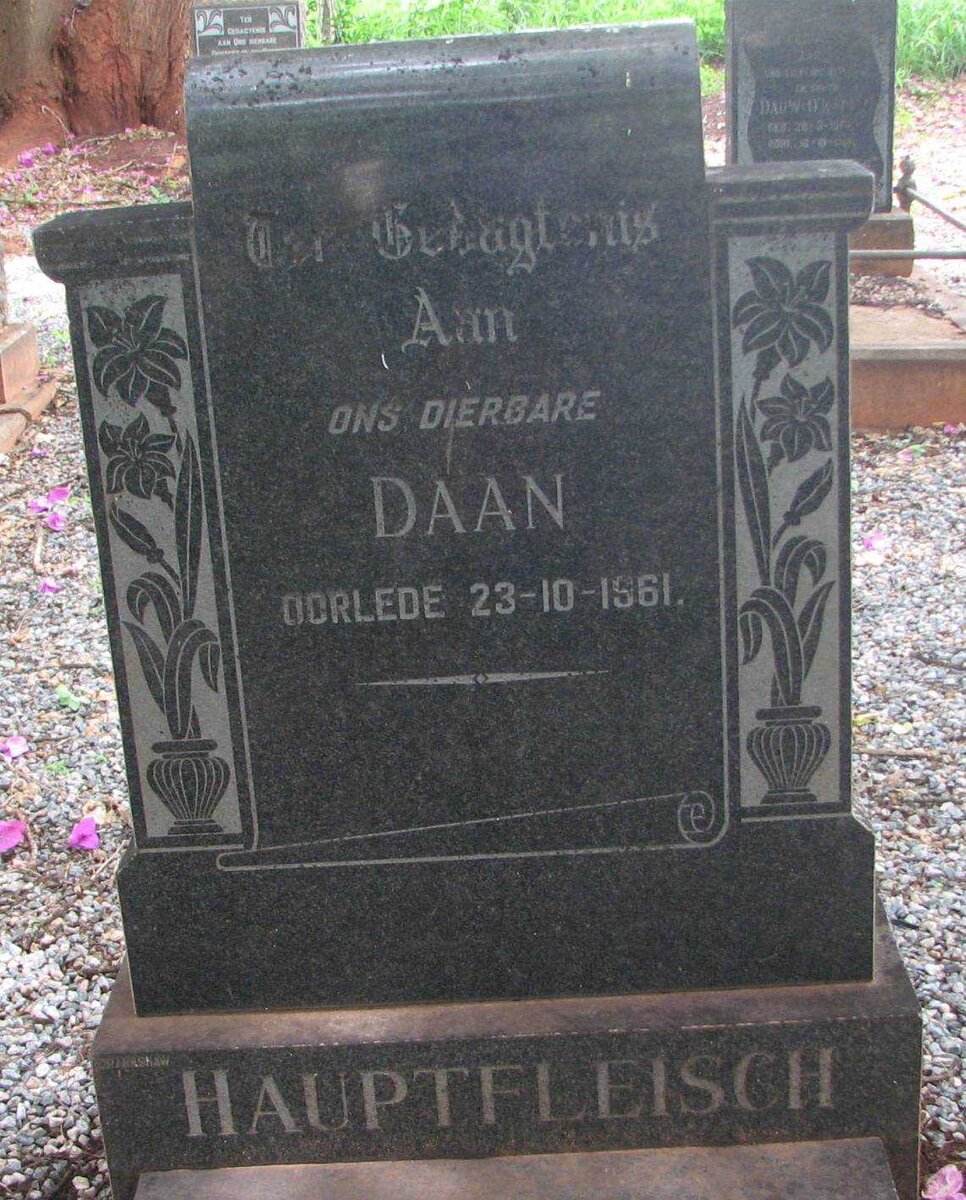 HAUPTFLEISCH Daan -1961