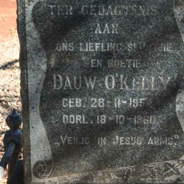 O'KELLY Dauw 1954-1960