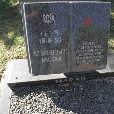 MARAIS Rosa 1981-2003