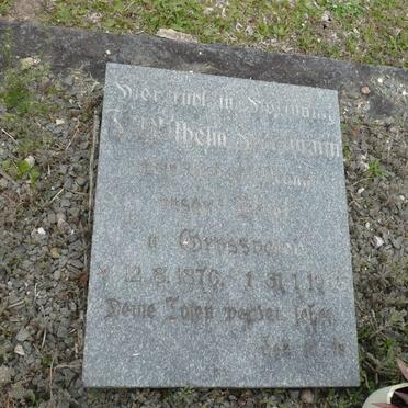 HARTMANN  F. Wilhelm 1876-19??