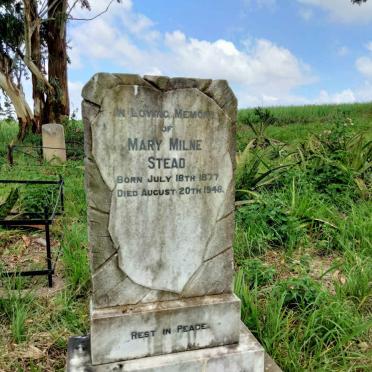 STEAD Mary Milne 1877-1948