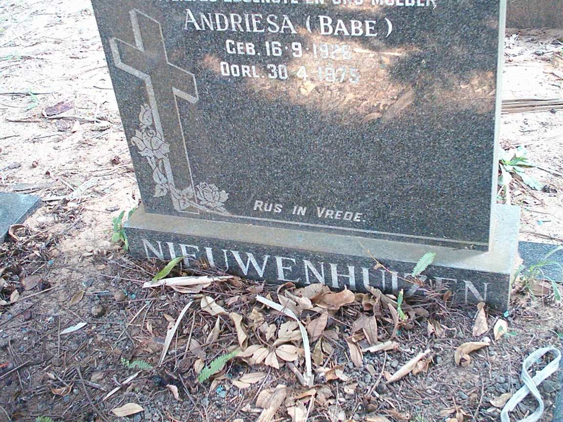 NIEUWENHUIZEN Andriesa 1928-1975