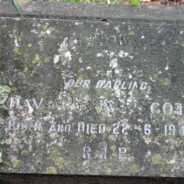 SCOTT David Bruce 1948-1948