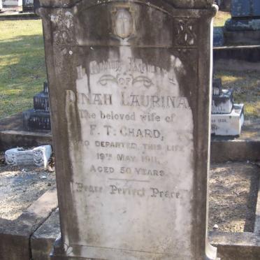 CHARD Dinah Laurina -1911