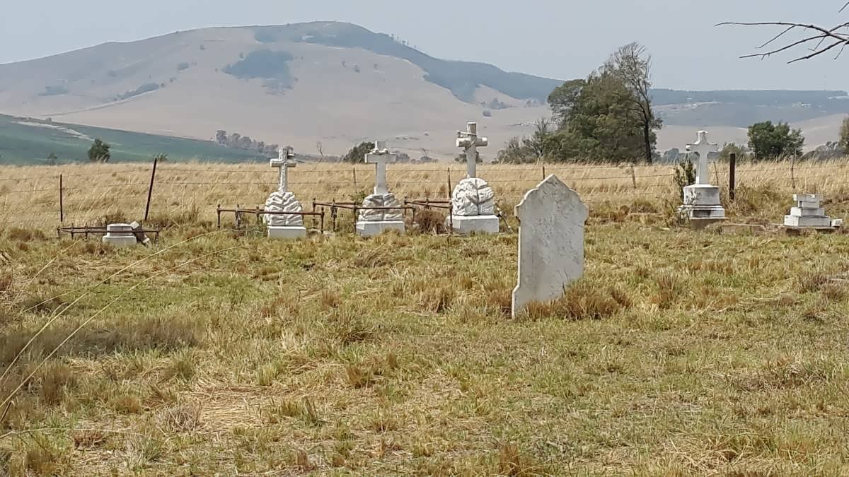 1. Overview / Oorsig