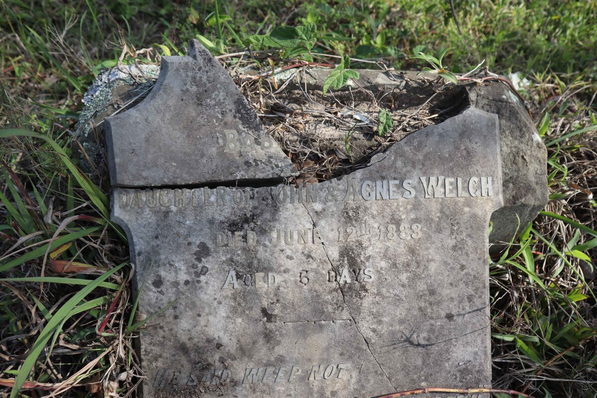WELCH Baby -1883