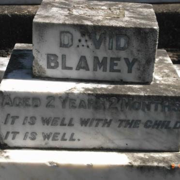 BLAMEY David