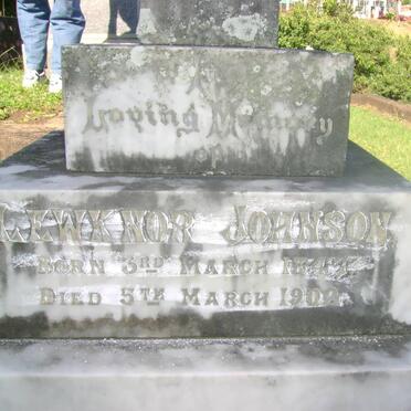 JOHNSON Lewknor 1847-1902