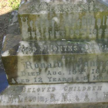 McLAURIN Hector Archibald 1888 :: McLAURIN Ronald James