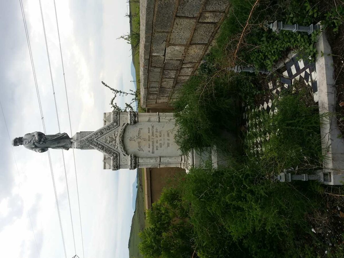 JOHNSTONE Bernardus P. -1914