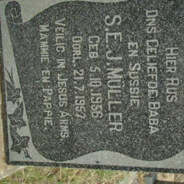 MULLER S.E.J. 1956-1957