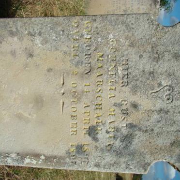 M - Surnames :: Vanne - M