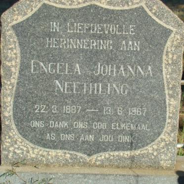 N - Vanne :: Surnames - N